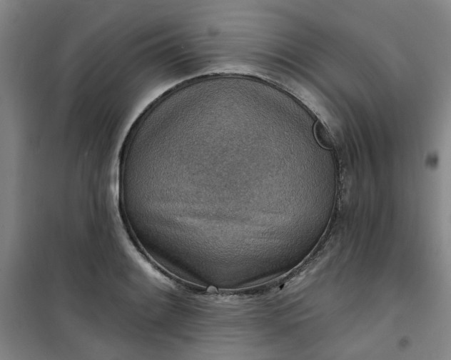 X0000101151084200807111000