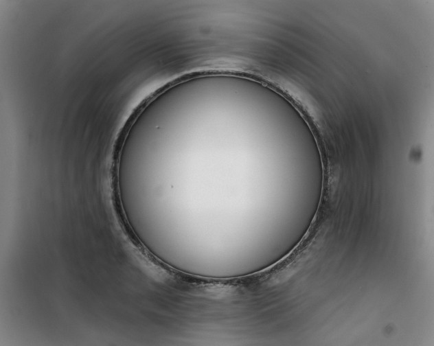 X0000101151085200807111000