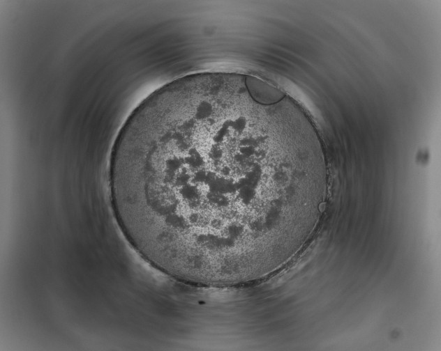 X0000101151087200807111000