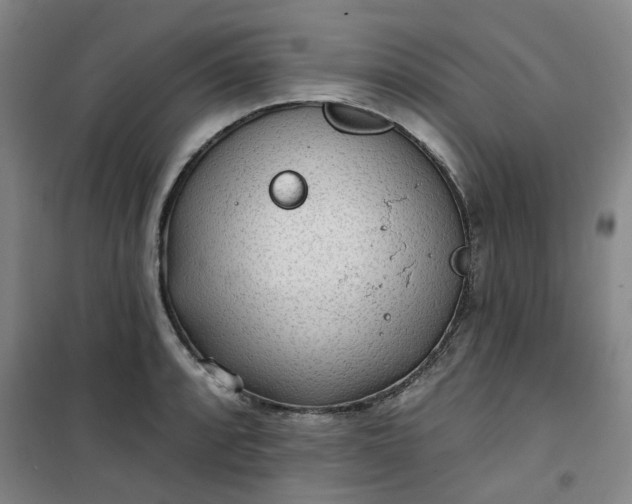 X0000101151088200807111000