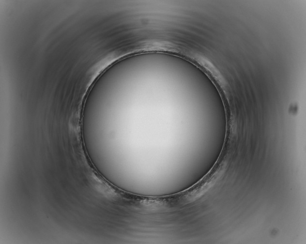 X0000101151089200807111000