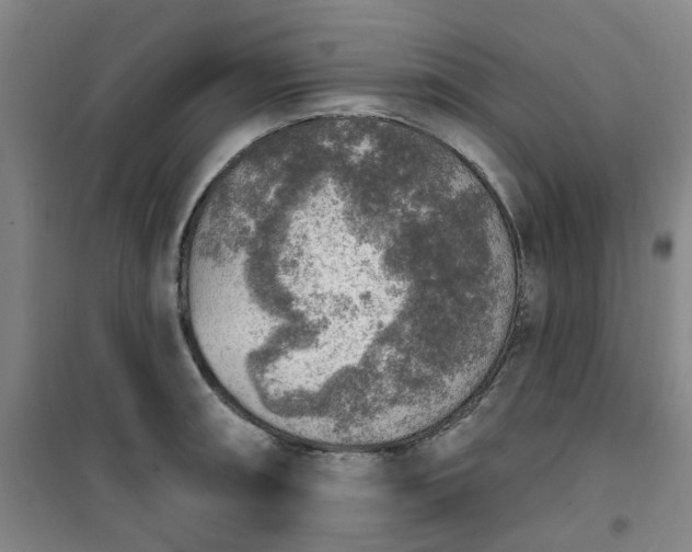 X0000101151090200807111000