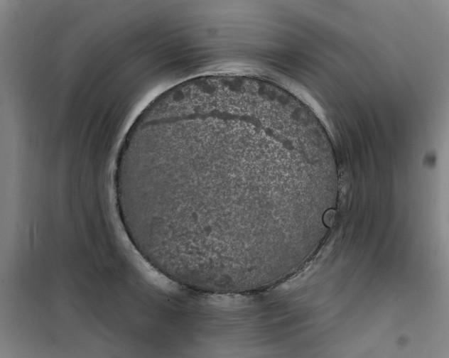 X0000101151091200807111000