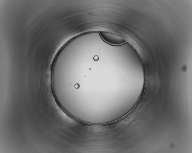 X0000101151092200807111000