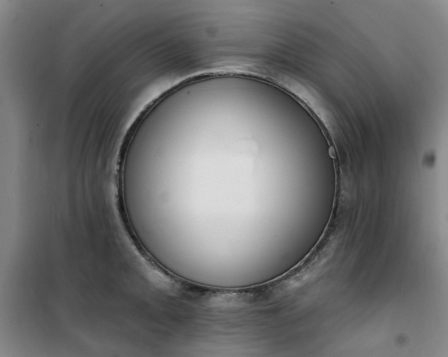 X0000101151093200807111000