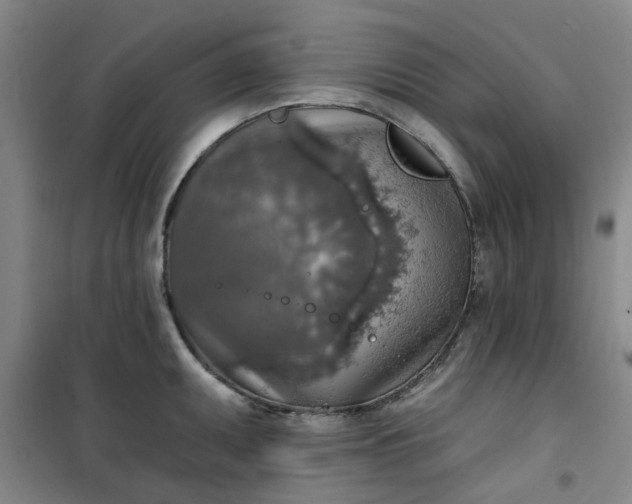 X0000101151095200807111000