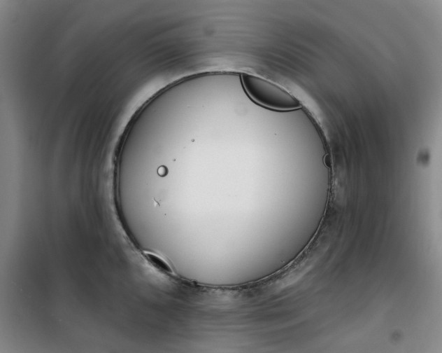 X0000101151096200807111000