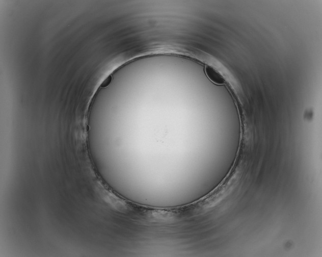 X0000101151097200807111000