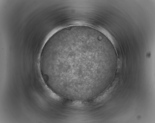 X0000101151098200807111000