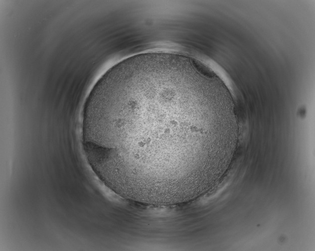 X0000101151099200807111000