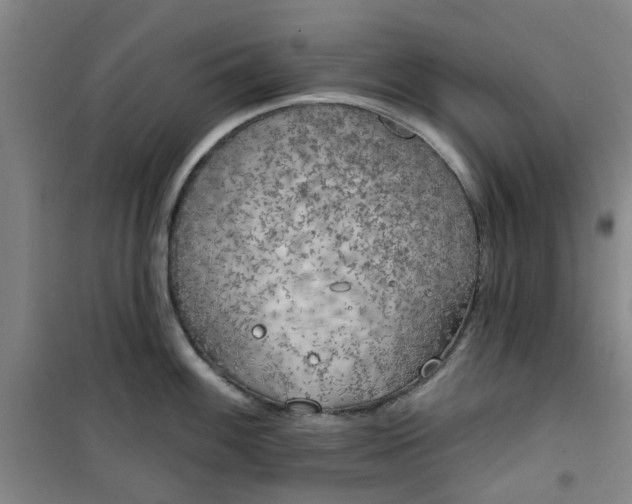 X0000101151100200807111000