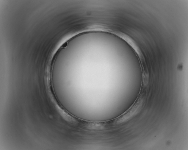 X0000101151101200807111000