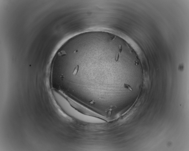 X0000101151102200807111000