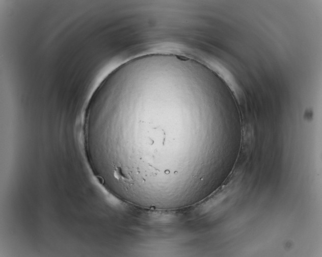 X0000101151103200807111000