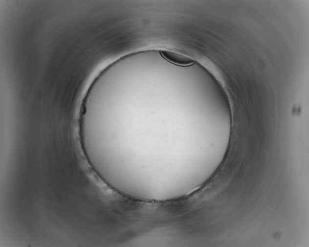 X0000101151104200807111000