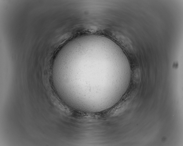 X0000101151105200807110959