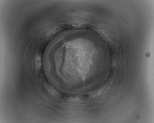 X0000101151106200807110959