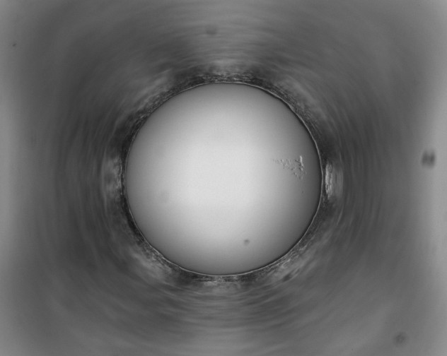 X0000101151107200807110959