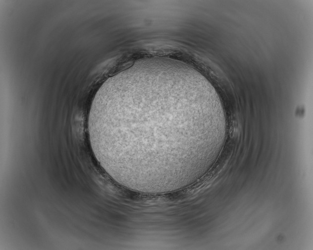 X0000101151108200807110959