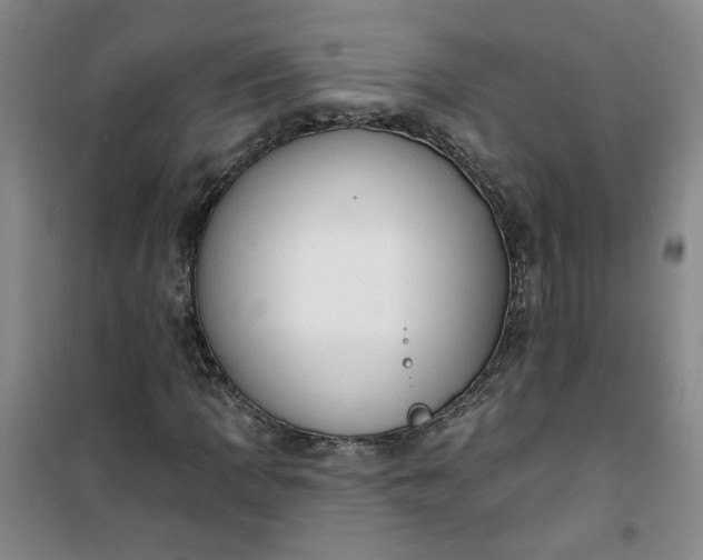 X0000101151109200807110959