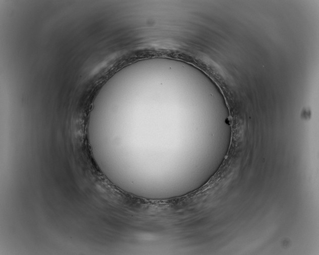 X0000101151110200807110959