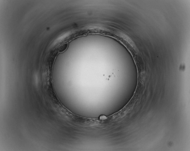 X0000101151111200807110959