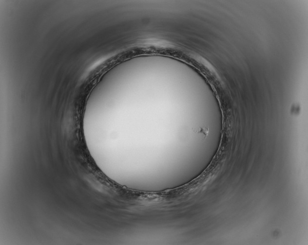 X0000101151112200807110959