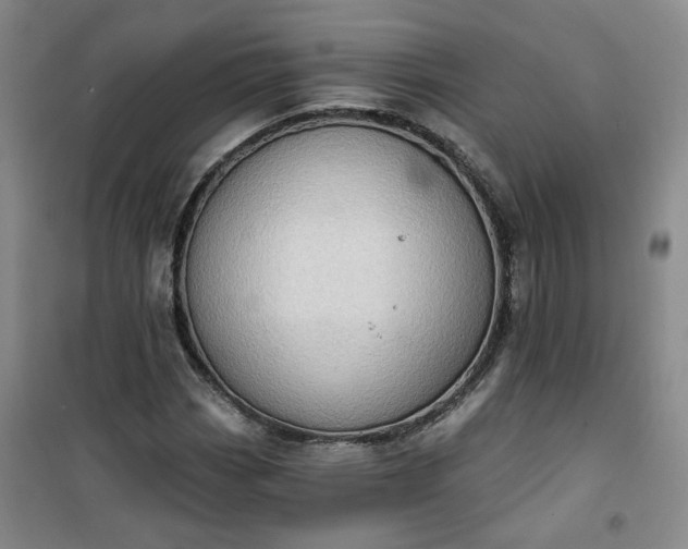 X0000101151113200807110959