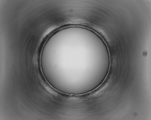 X0000101151114200807110959