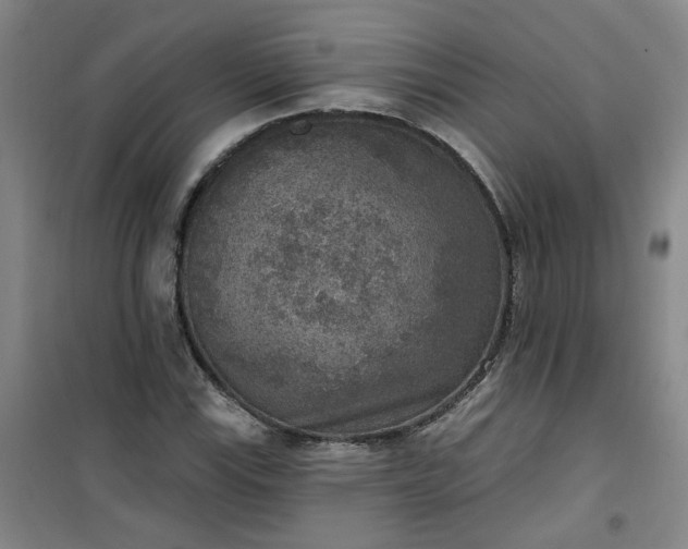 X0000101151115200807110959