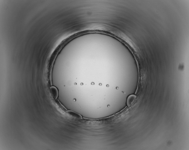 X0000101151116200807110959