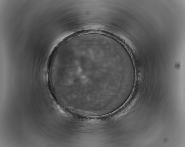 X0000101151117200807110959