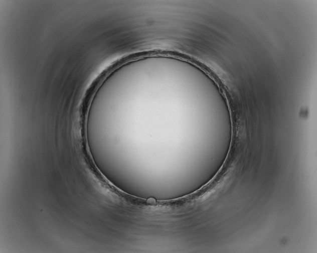 X0000101151118200807110959