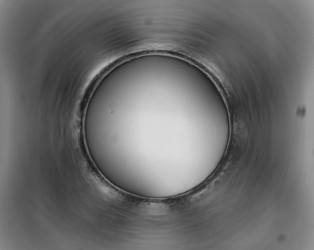 X0000101151119200807110959