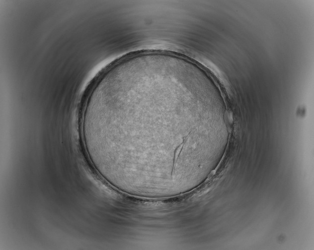 X0000101151120200807110959