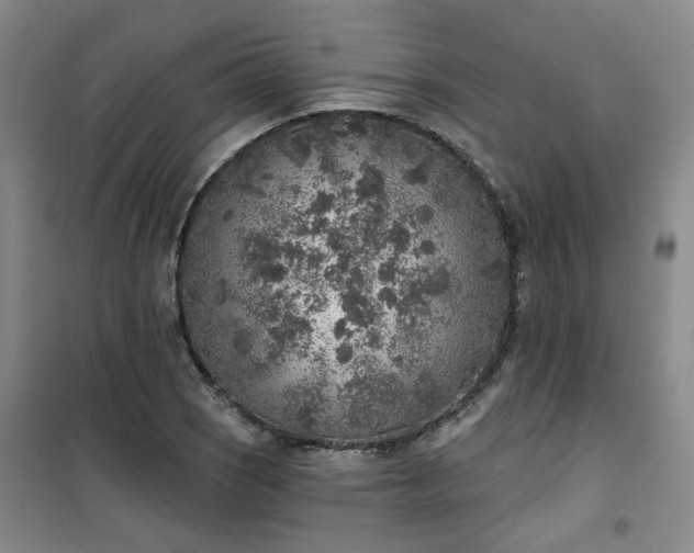 X0000101151121200807110959