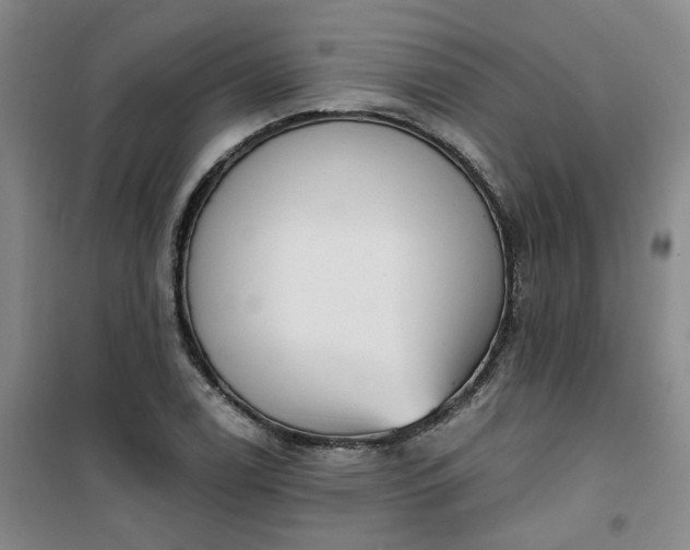 X0000101151122200807110959