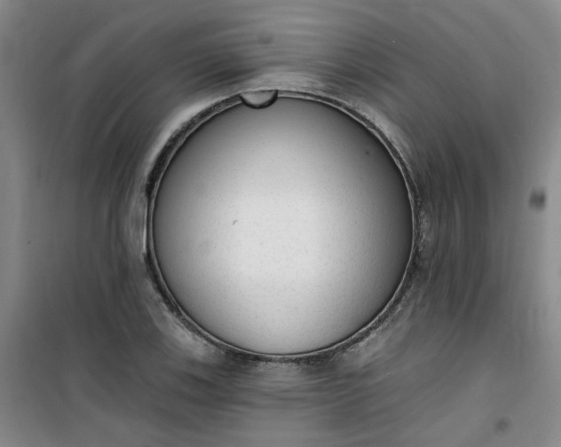 X0000101151123200807110959