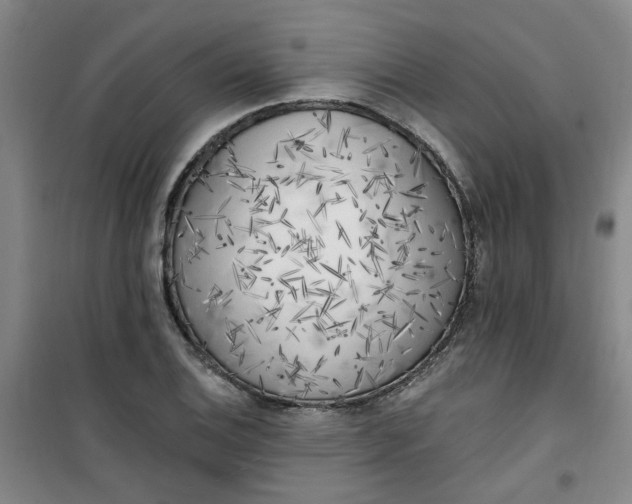 X0000101151124200807110959