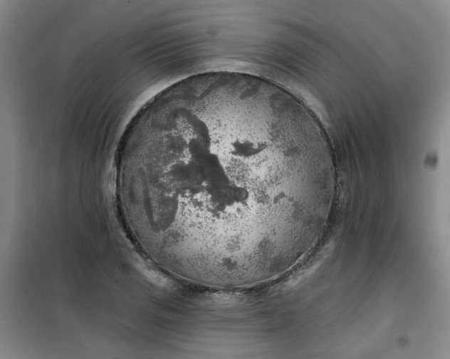 X0000101151125200807110959