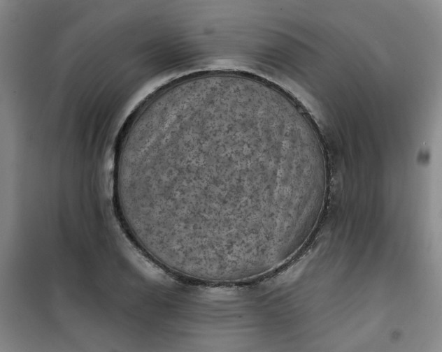 X0000101151126200807110959