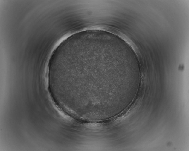 X0000101151127200807110959