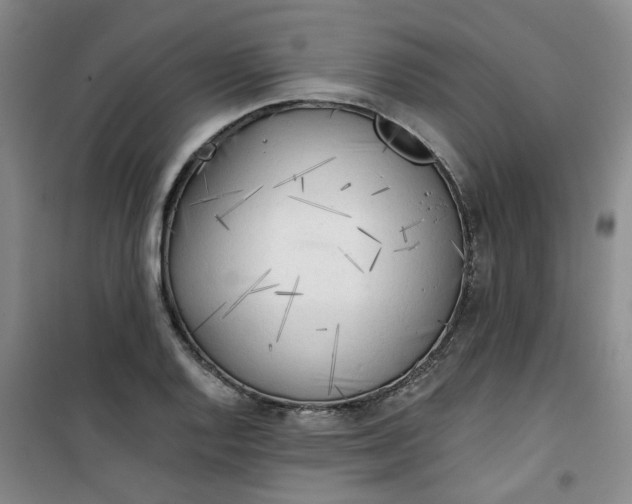 X0000101151128200807110959