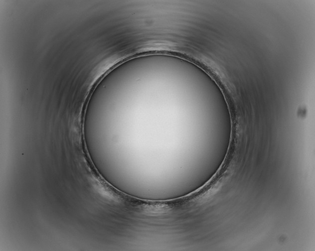 X0000101151129200807110959