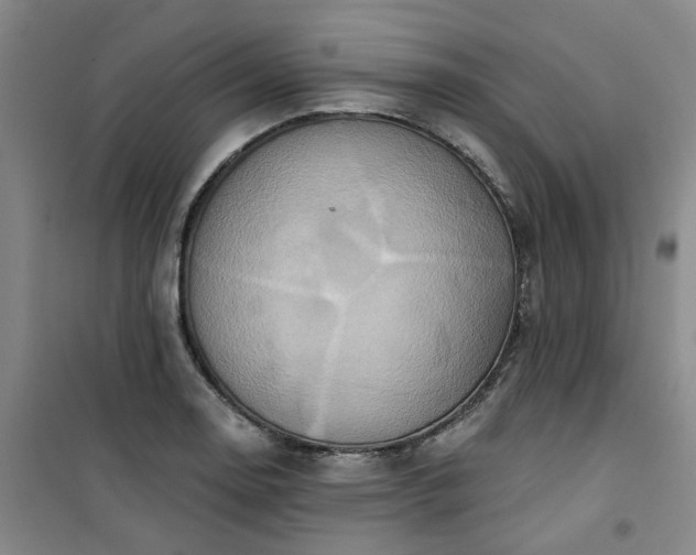 X0000101151130200807110959