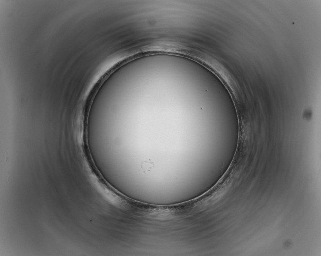 X0000101151131200807110959