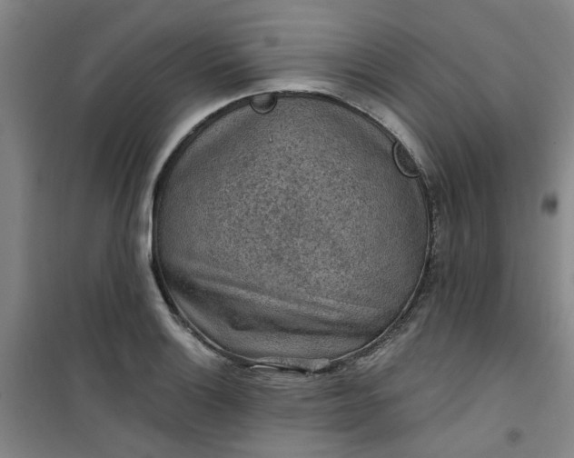 X0000101151132200807110959