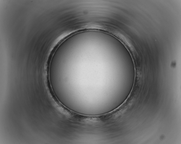 X0000101151133200807110959