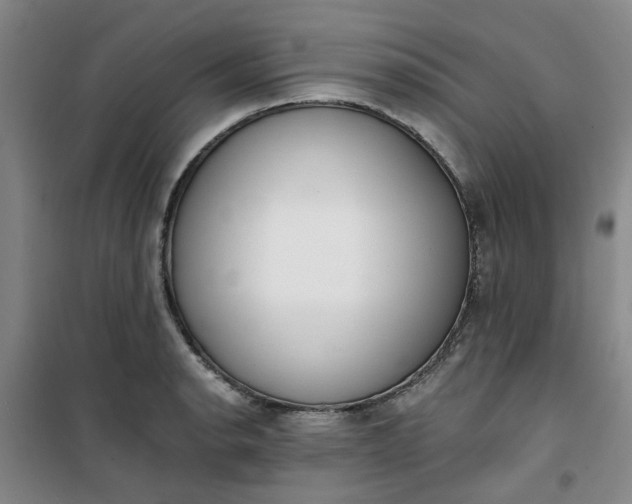 X0000101151134200807110959