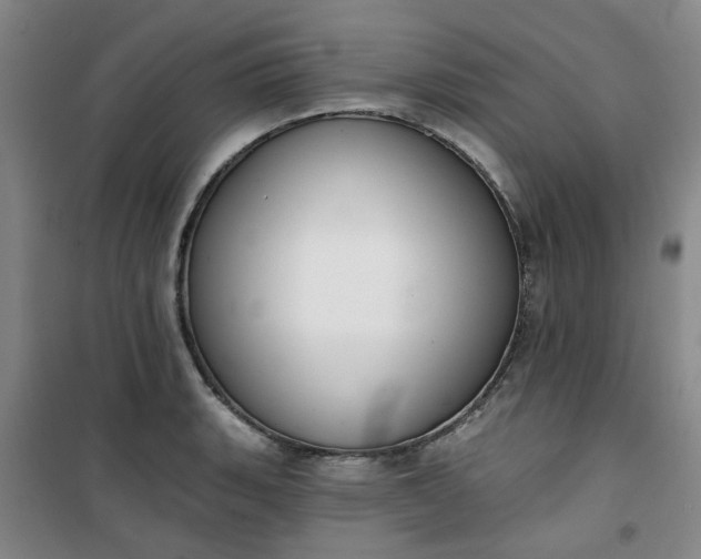 X0000101151135200807110959